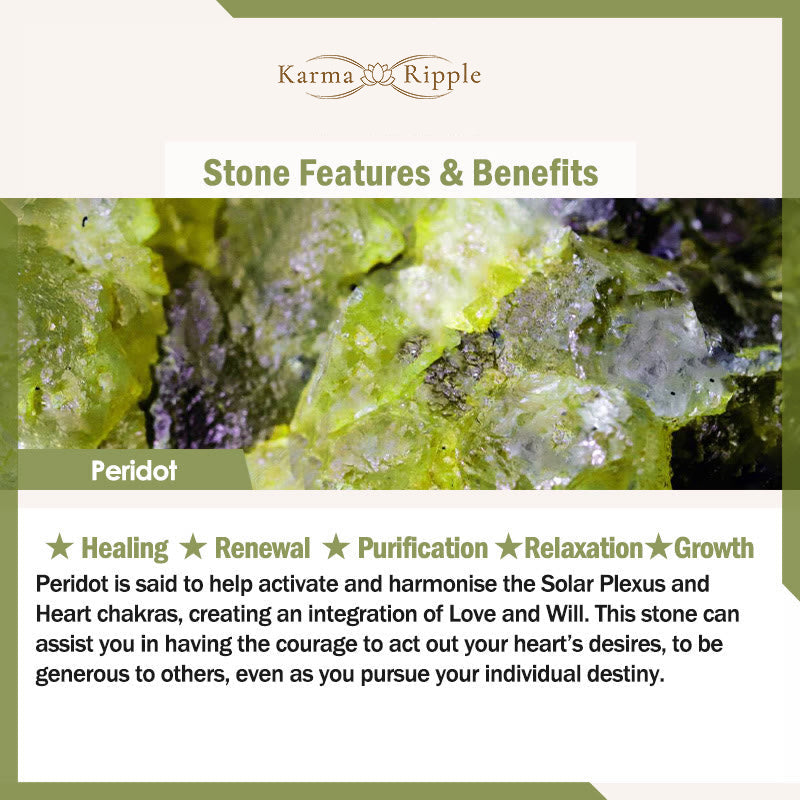 KarmaRipple's Authentic Black Obsidian Peace Buckle Pixiu Purification Pendant Necklace p6