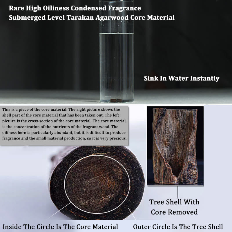 KarmaRipple's Tarakan Rare Agarwood 925 Sterling Silver Chinese Zodiac 999 Pure Gold Beadwork Ward Off Evil Spirits Bracelet p11