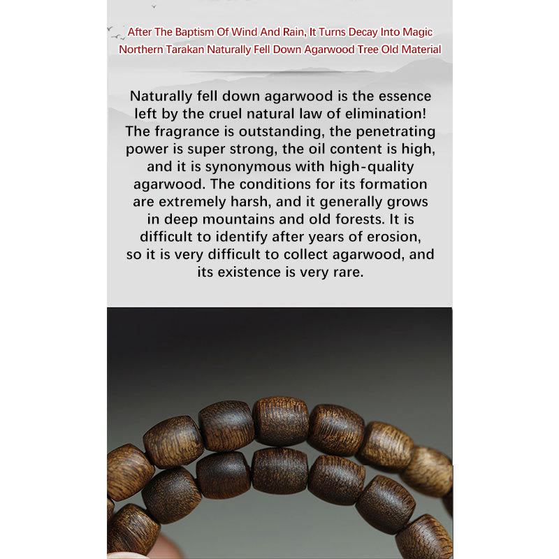 KarmaRipple's 999 Gold Rare Tarakan Agarwood Tibetan Old Spirit Bone Balance Strength Double Wrap Bracelet p9